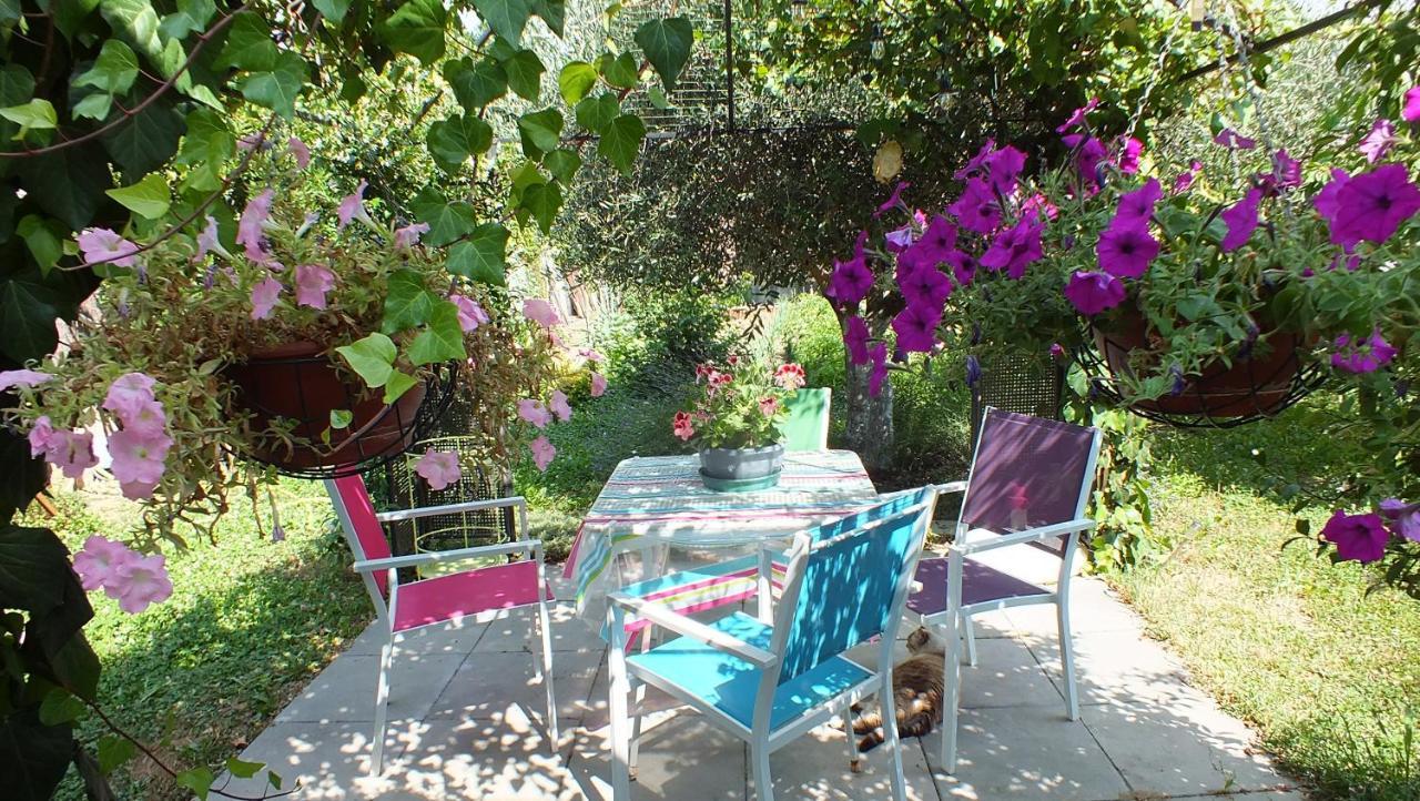 La Maison Sous L'Olivier Villa Morieres-les-Avignon Ngoại thất bức ảnh