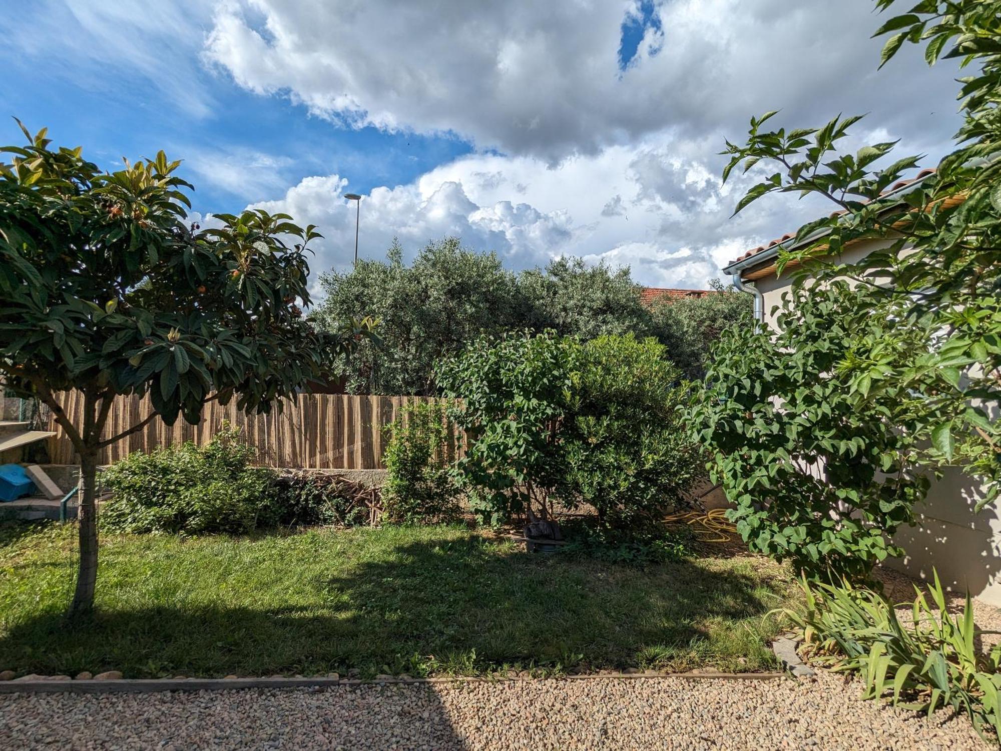 La Maison Sous L'Olivier Villa Morieres-les-Avignon Ngoại thất bức ảnh
