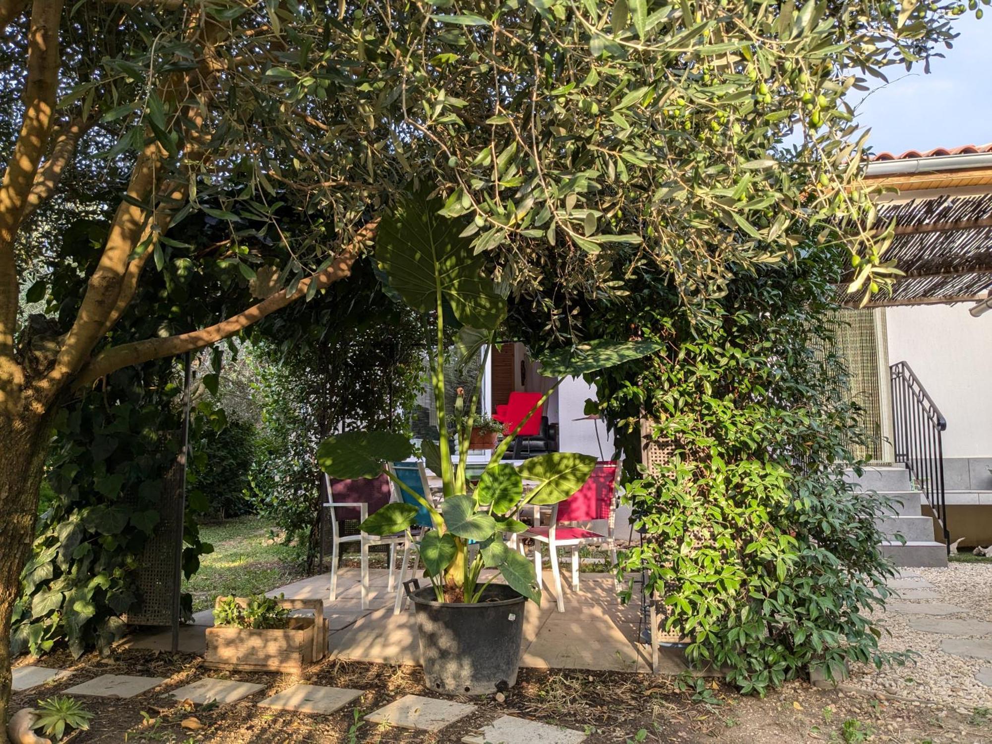 La Maison Sous L'Olivier Villa Morieres-les-Avignon Ngoại thất bức ảnh